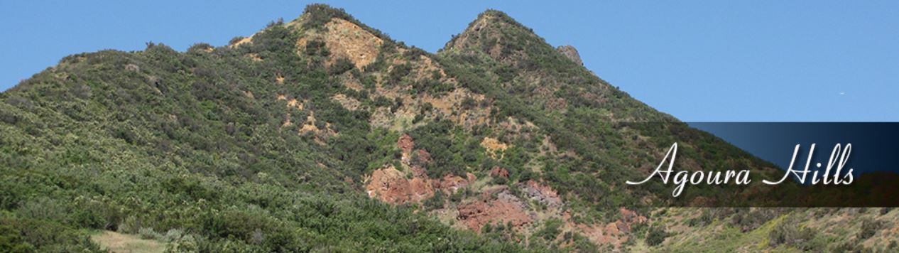 Agoura hills Agoura Hills limo service