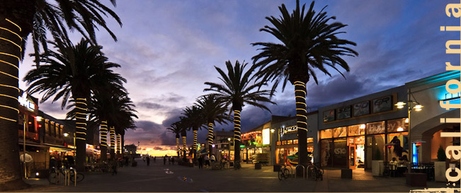 Hermosa Beach limo and party bus