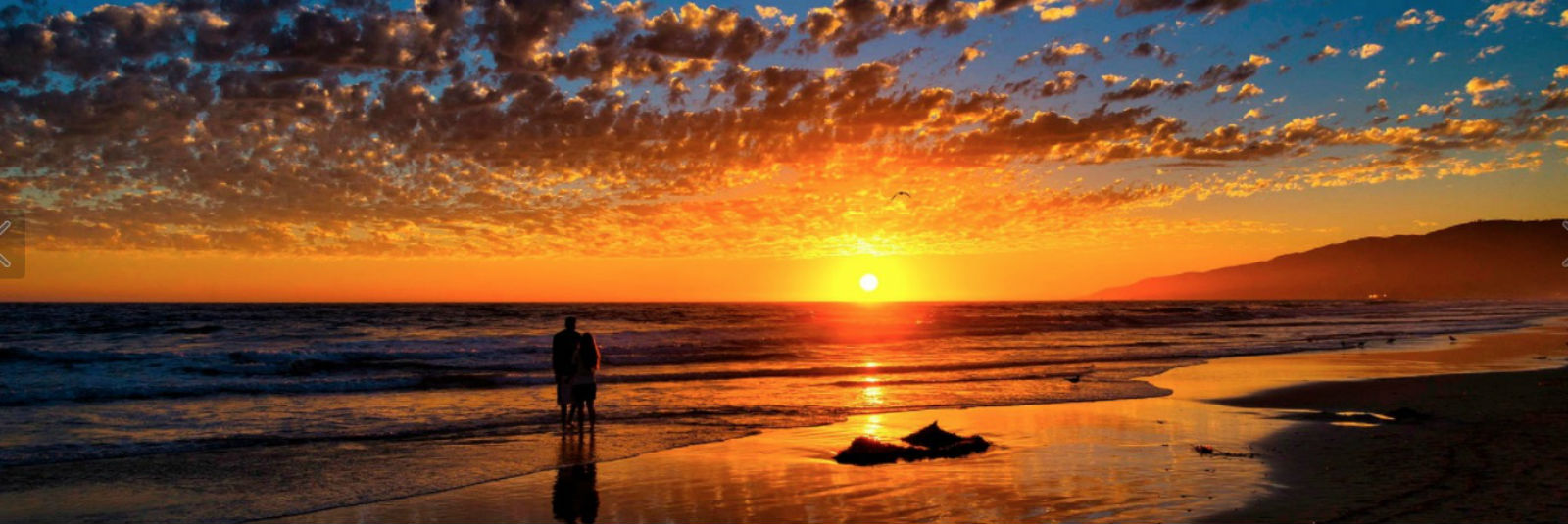 Malibu Party Bus Malibu Party bus rental