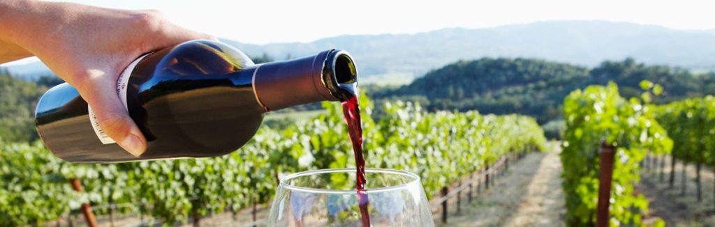 wine-tour-limo Wine testing limo service