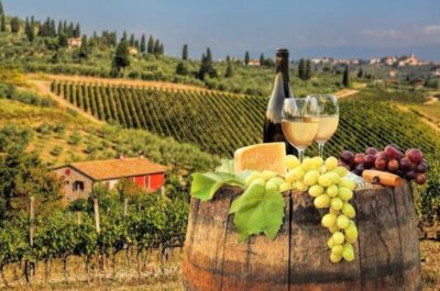 Los Angeles Winery Tour Limo Service Los Angeles Winery Limo Rental
